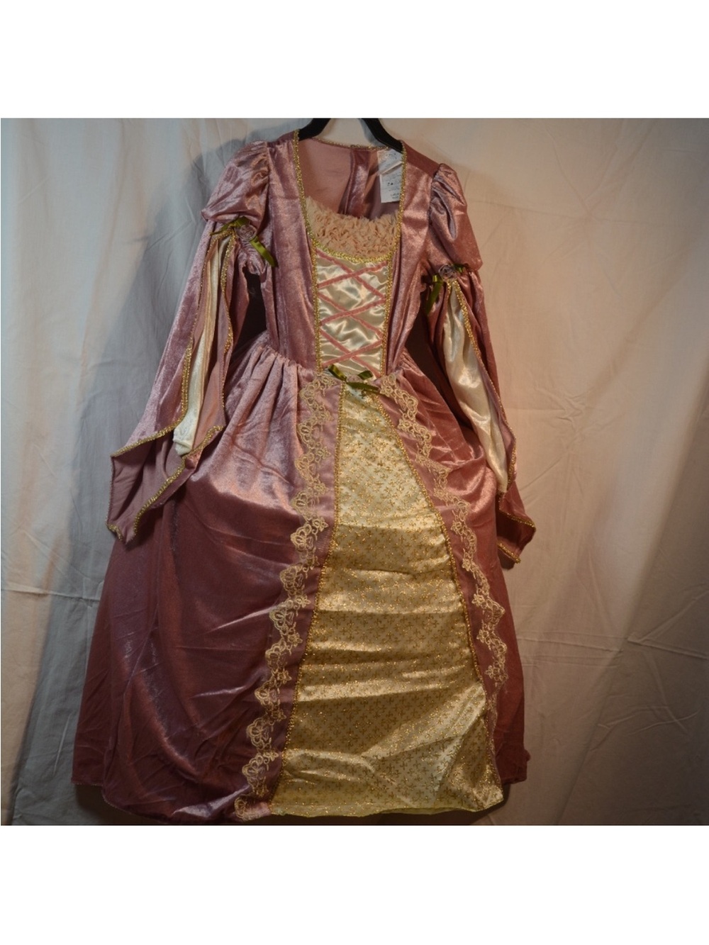 Girl’s Renaissance Dress Costume